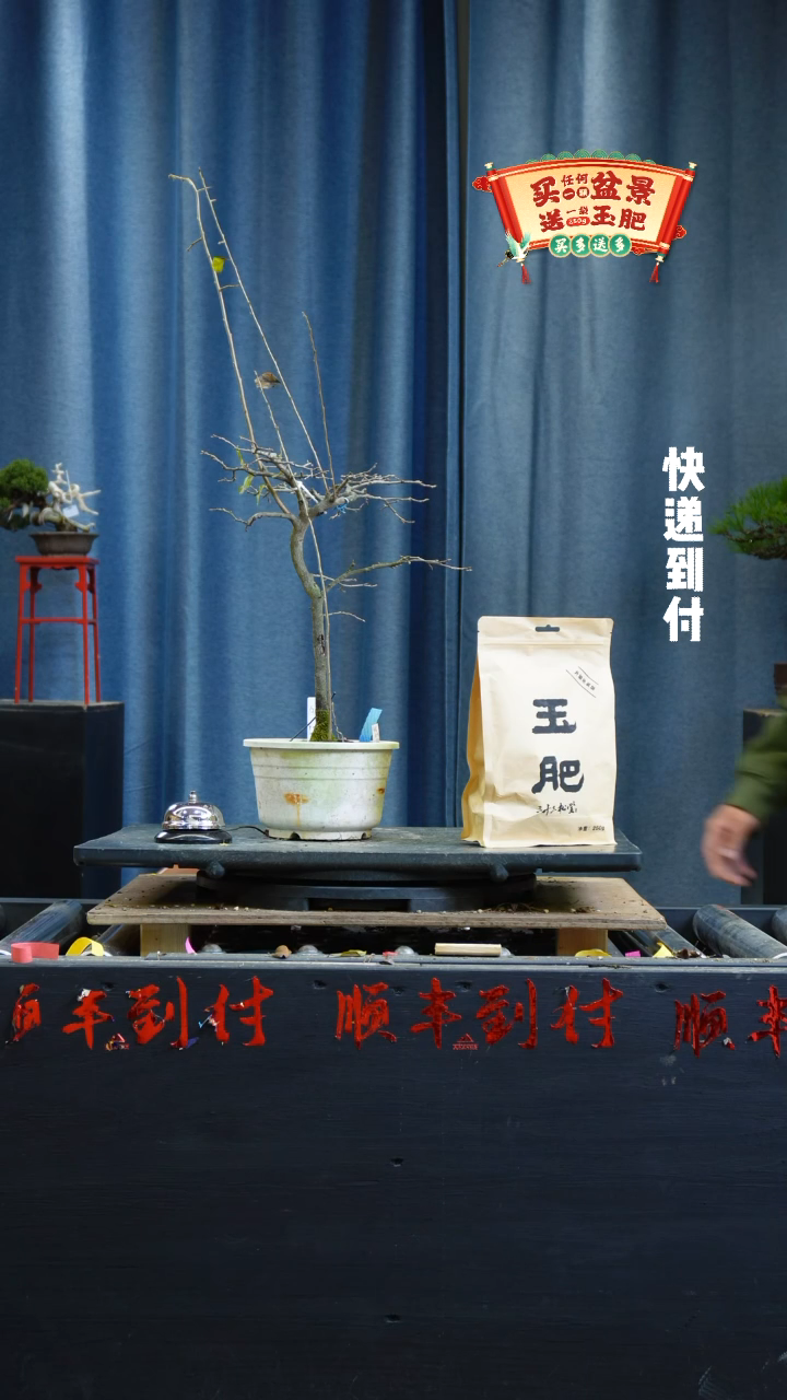 【闪购商品】1379老鸦bubaoyou