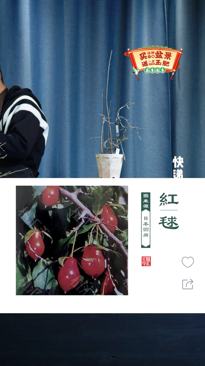【闪购商品】1759老鸦