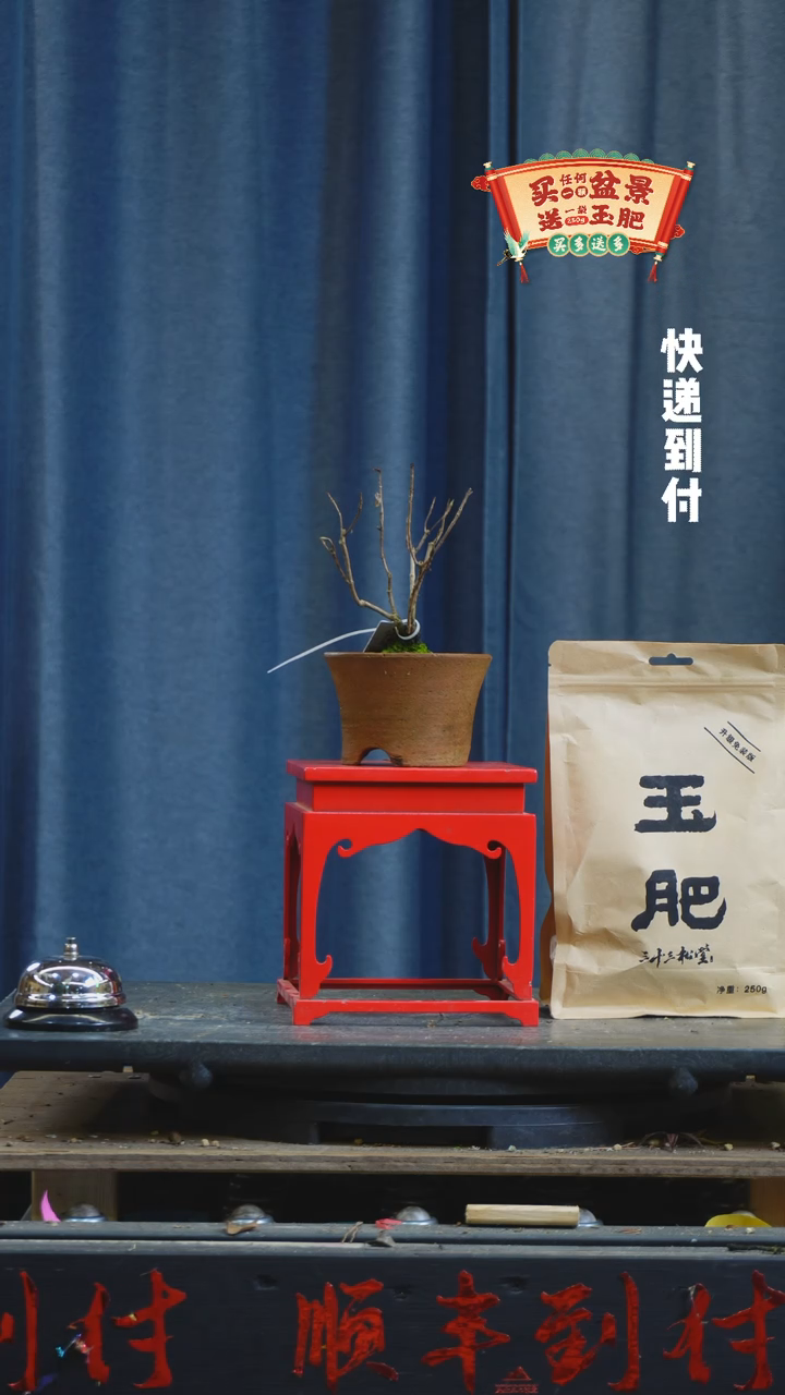 【闪购商品】1361杂木bubaoyou