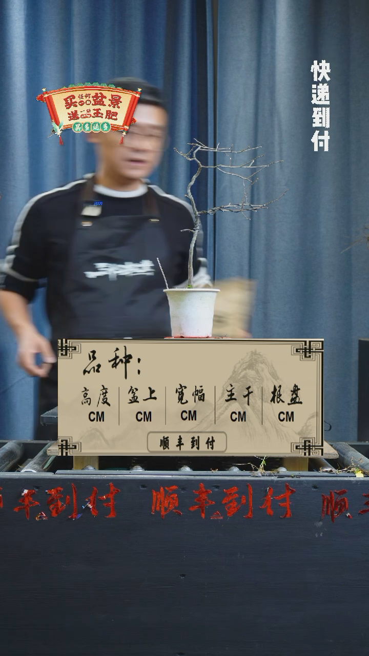 【闪购商品】1057老鸦