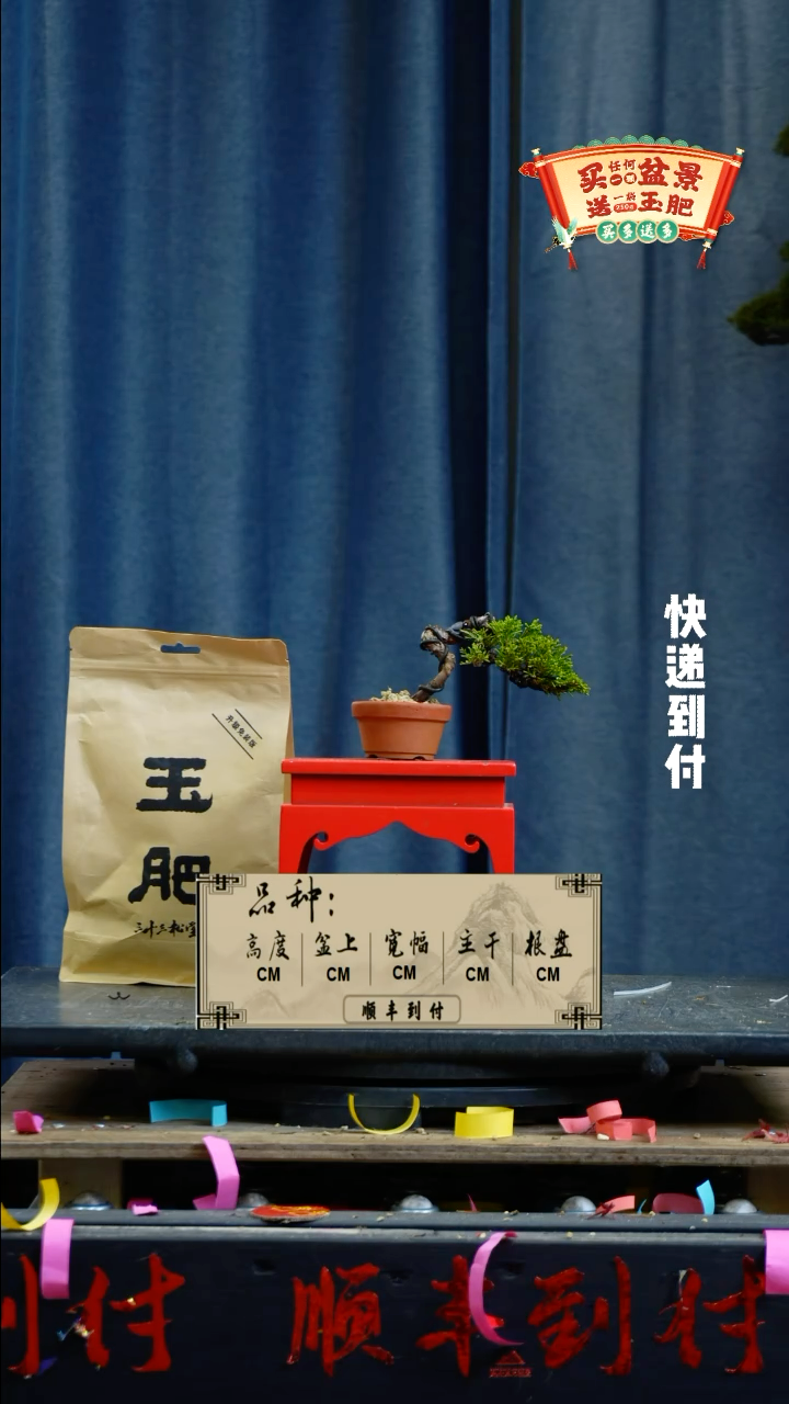 【闪购商品】1442真柏
