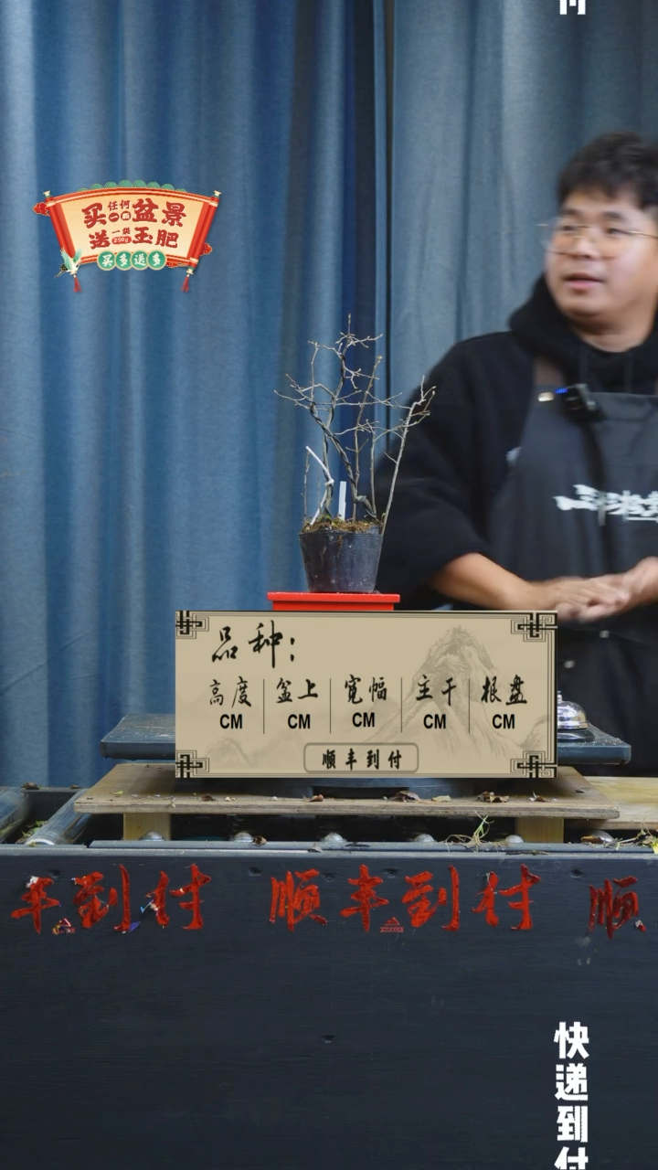 【闪购商品】1154老鸦