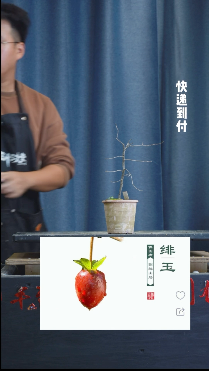 【闪购商品】1078绯玉