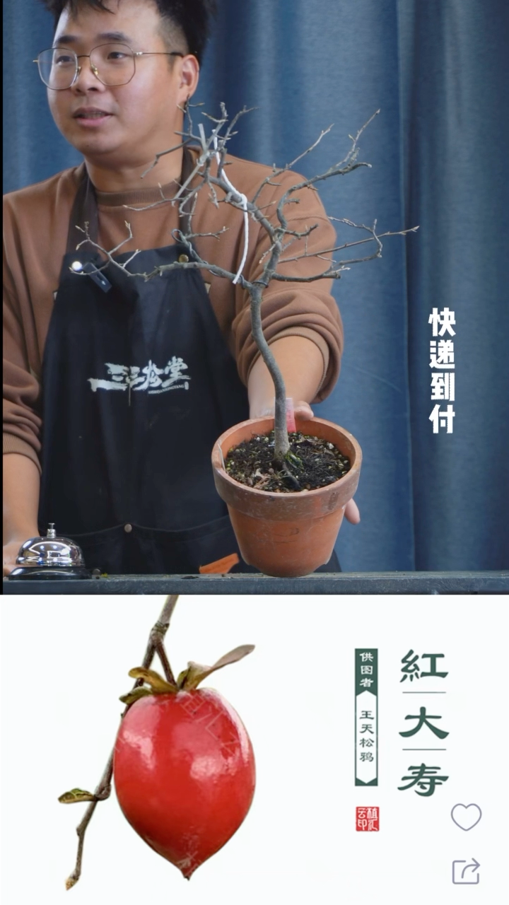 【闪购商品】1z112老鸦