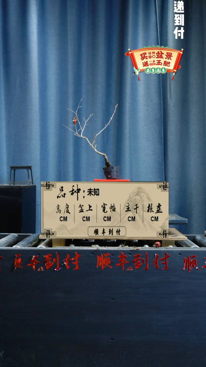 【闪购商品】1649老鸦