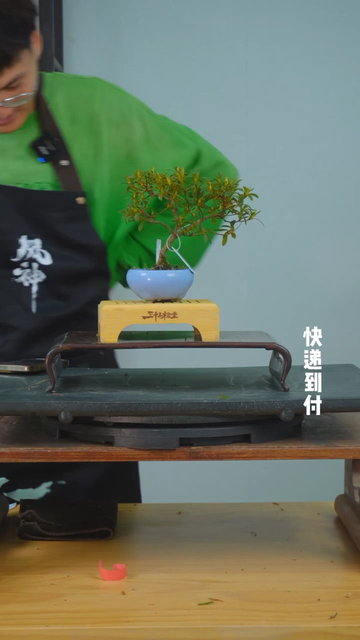 【闪购商品】1f416杜鹃bubaoyou