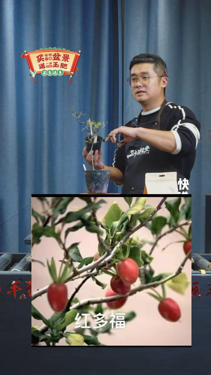 【闪购商品】1023老鸦