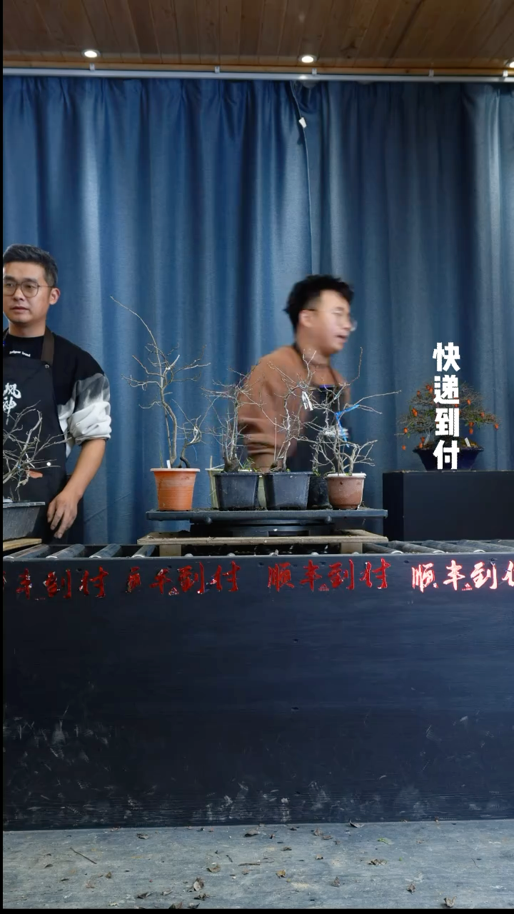 【闪购商品】1z142老鸦十颗bubaoyou