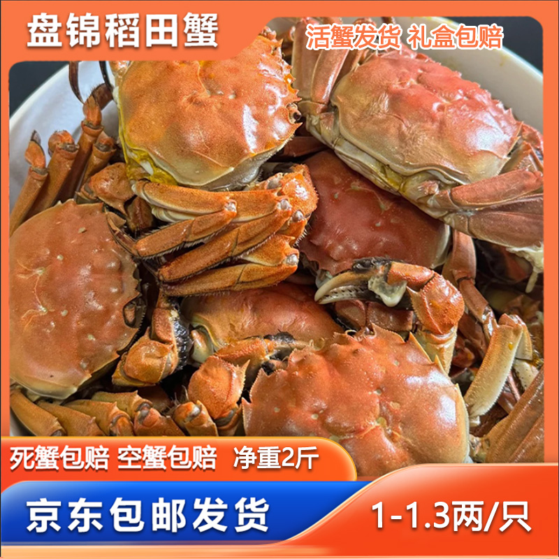 【活蟹】盘锦河蟹母蟹丰收季单只1两-1.3两净重2斤稻田蟹有礼盒