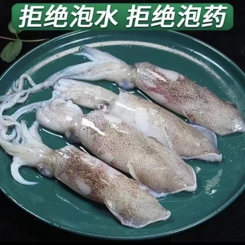 海捕鲜活笔管鱼天然籽海兔新鲜鲜冻发货（净重1~6斤）