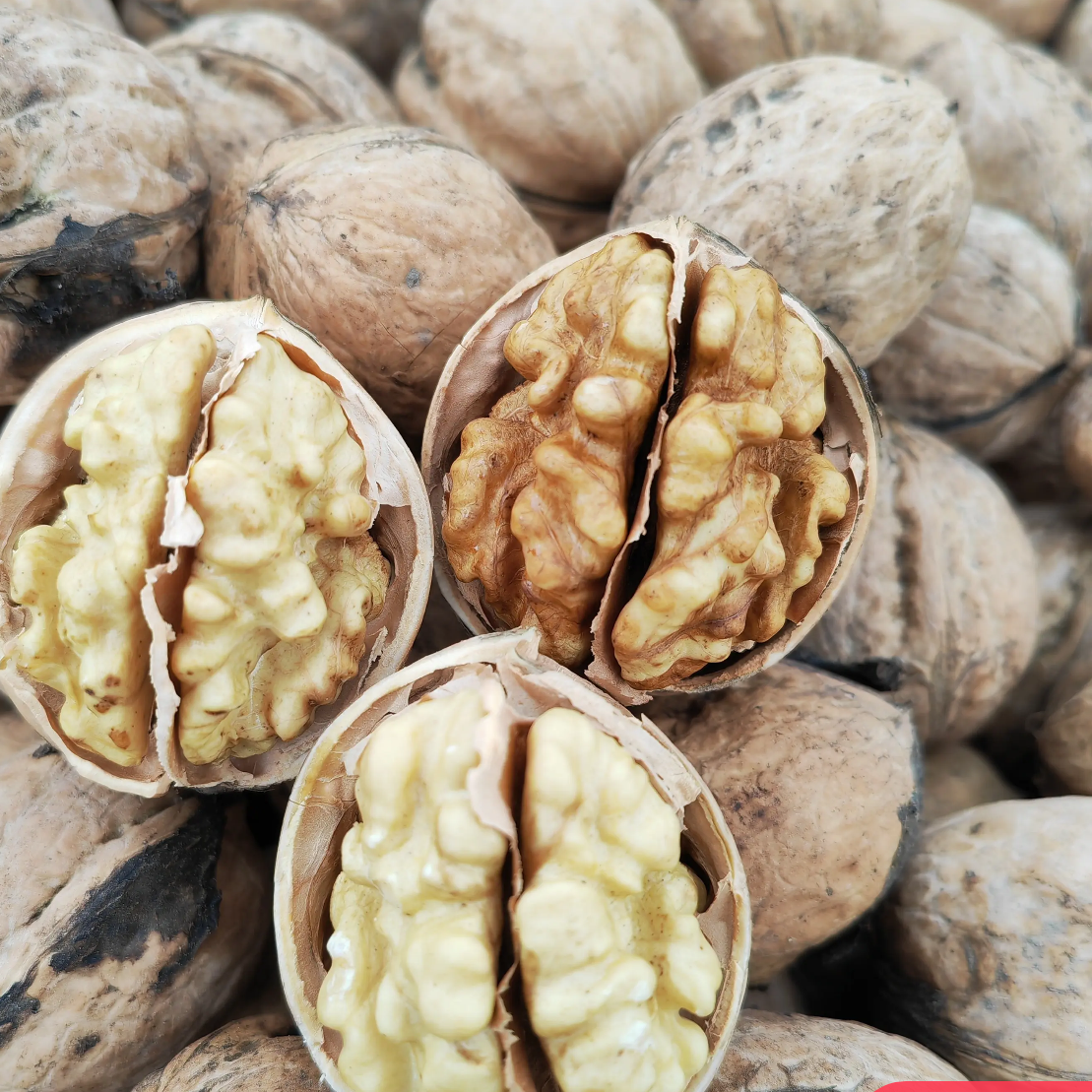 2025年新货未清洗阿克苏纸皮核桃手剥薄壳肉厚饱满营养好食用坚果