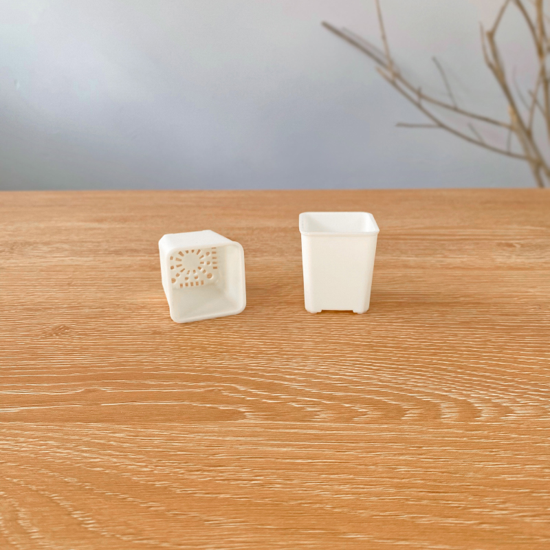 依然园艺【3.5口矮盆】多肉专用加厚塑料盆 麦秆PP切糕叶插扦插盆