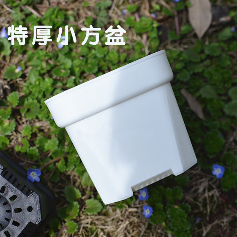 依然园艺6.4外口径特厚特小浅方盆 塑料多肉花盆手工盆器扦插景天