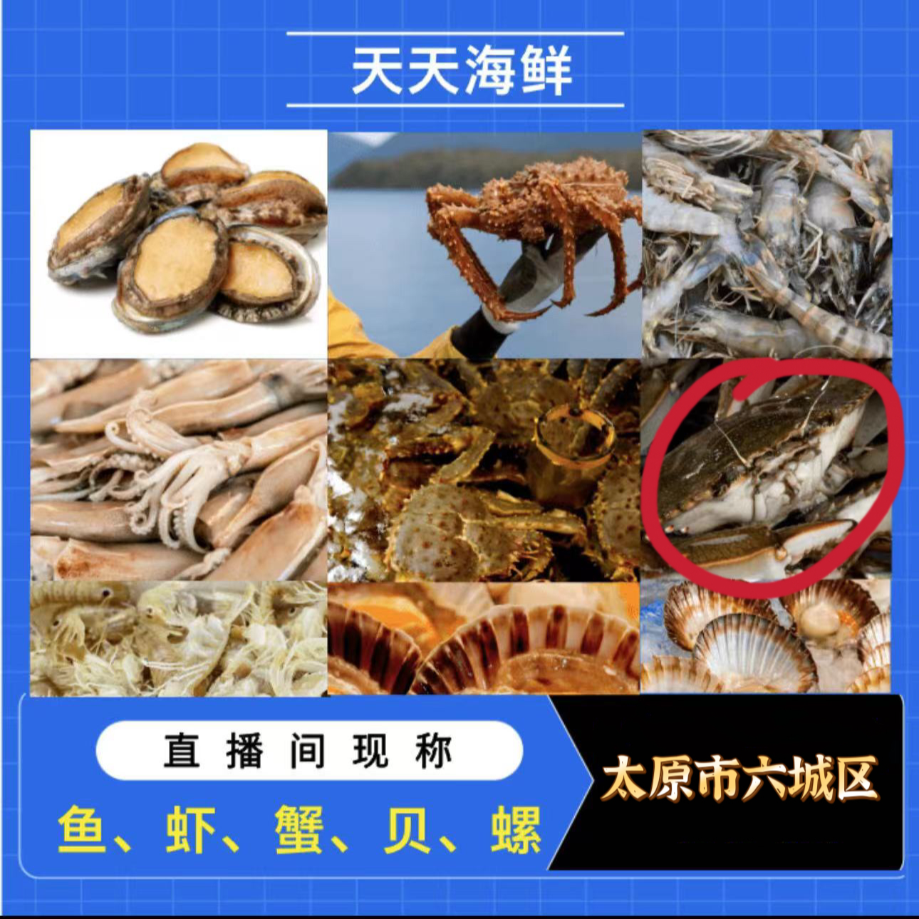 『应季爆款』断氧【三斤起拍】包鲜包肥不包活——易断腿