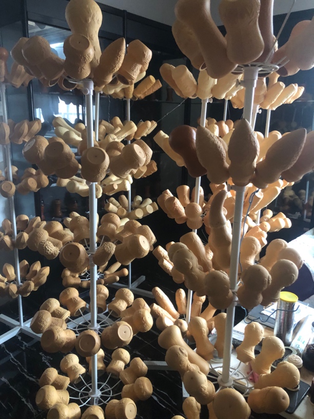 直播间展示所有蝈蝈器黑白虫器竹蛉器本长鸣虫等新老匏器专享链接