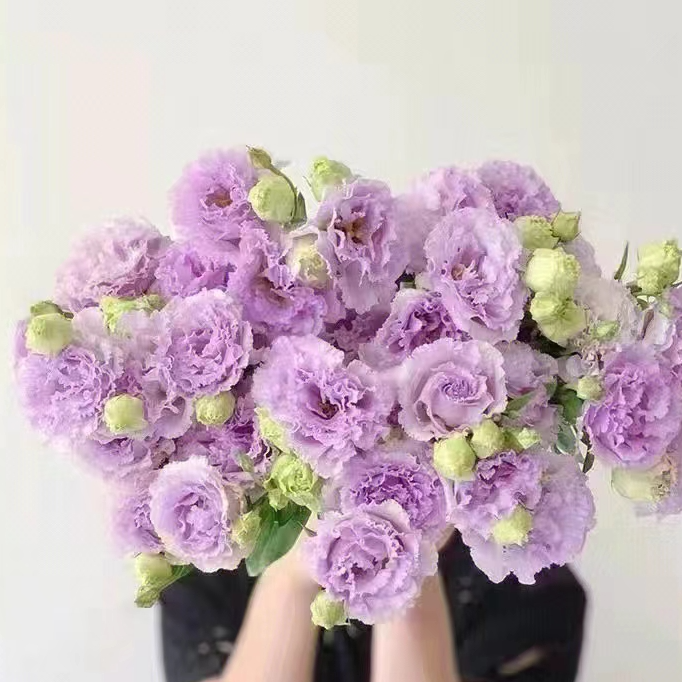 【源头一手价】浅紫波浪洋桔梗一大把   基地鲜花  养护叶子