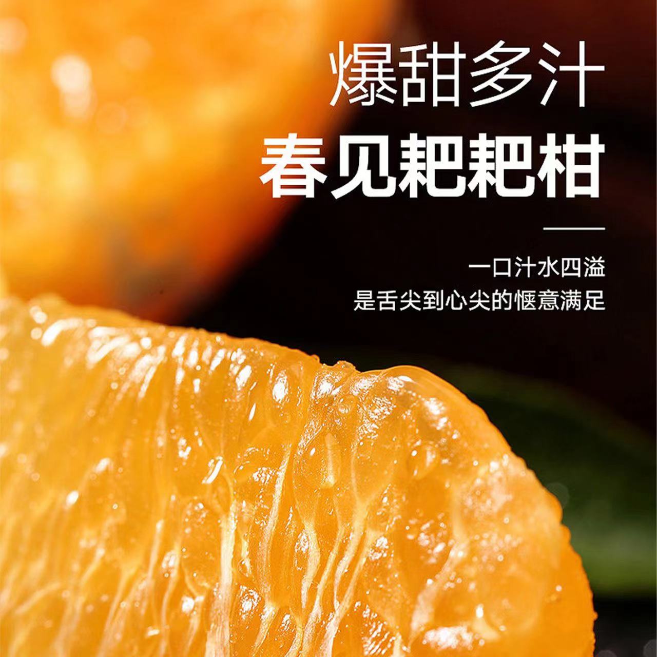 【与辉同行东方甄选】正宗四川春见耙耙柑整箱丑八怪橘子甜桔子新鲜