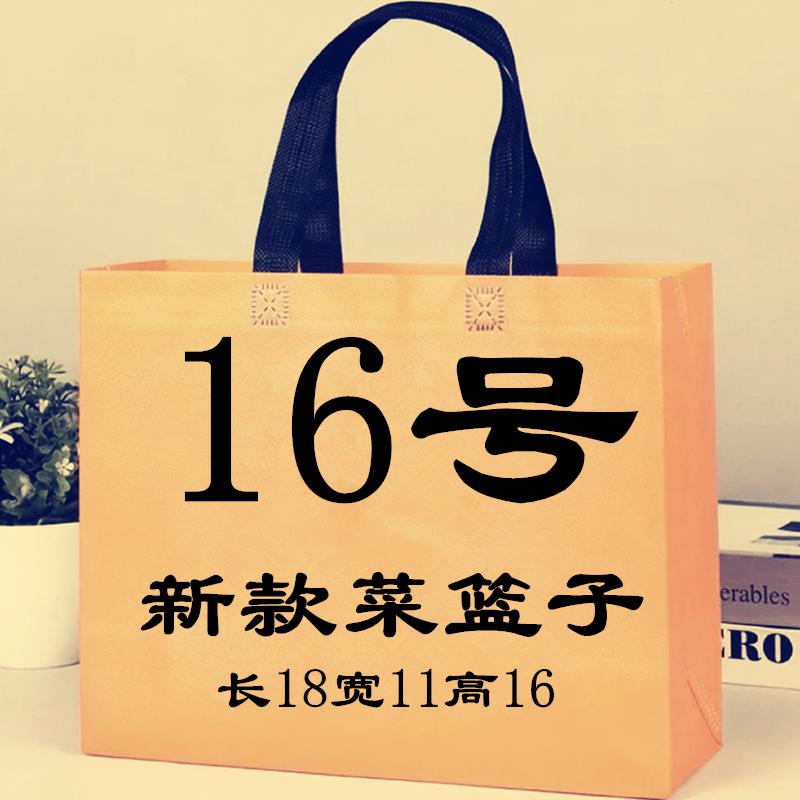 【C016号】2023时尚百搭气质新款菜篮子