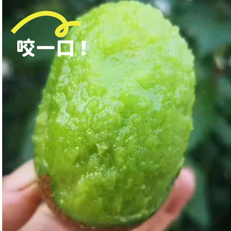 Z陕西眉县猕猴桃徐香绿心酸甜奇异果【交个朋友】