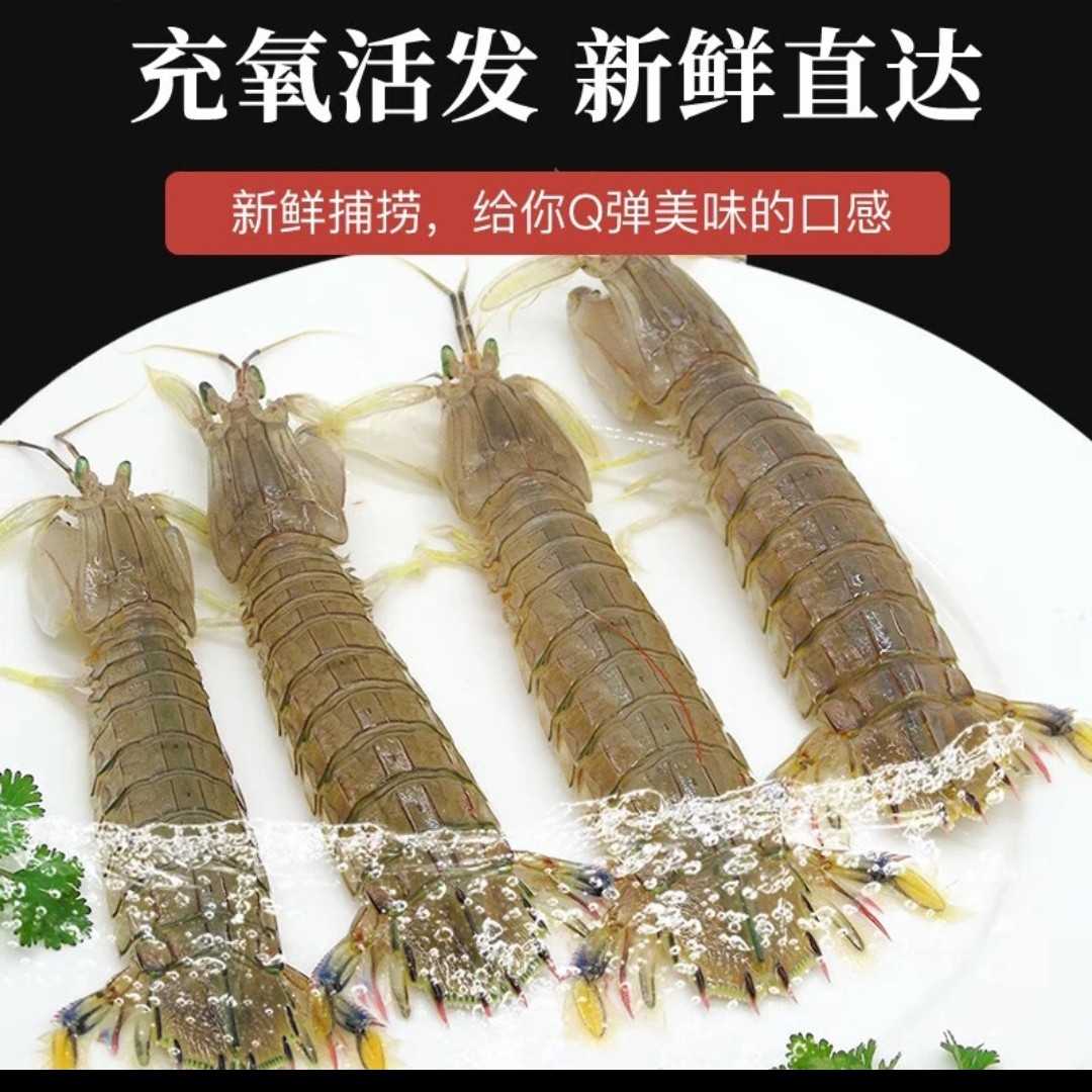 【鲜活皮皮虾★西安二丫海鲜】主播鲜活爆红新鲜皮皮虾1斤 方欣直发