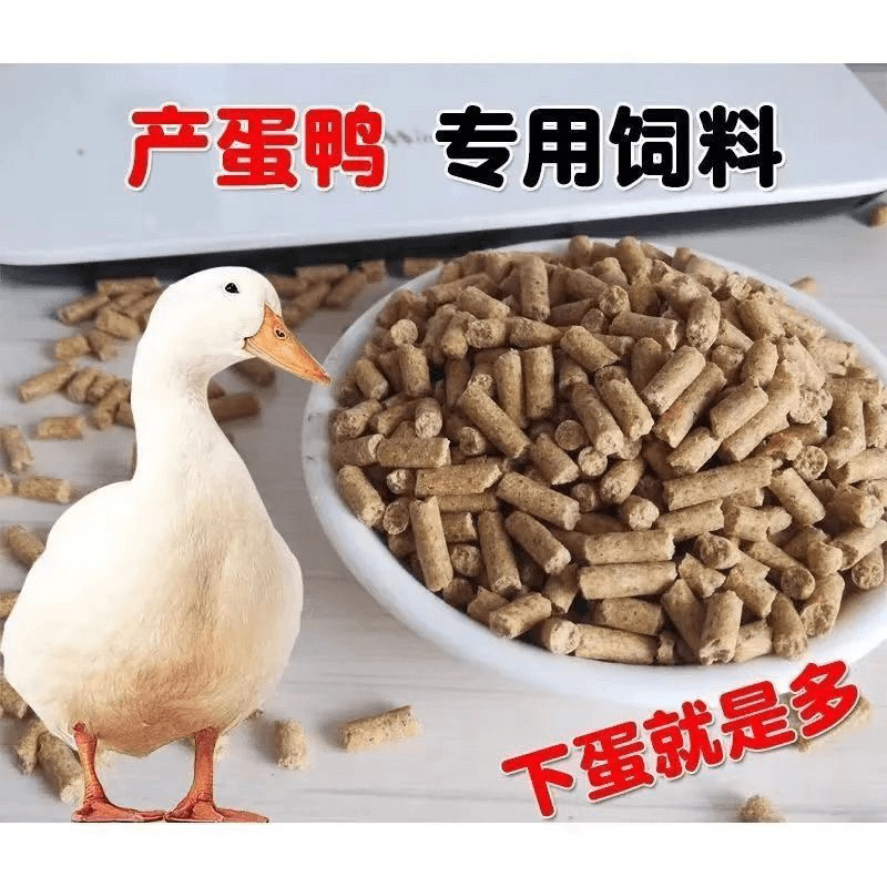 10只高产绿壳蛋鸭专用饲料产蛋鸭专用