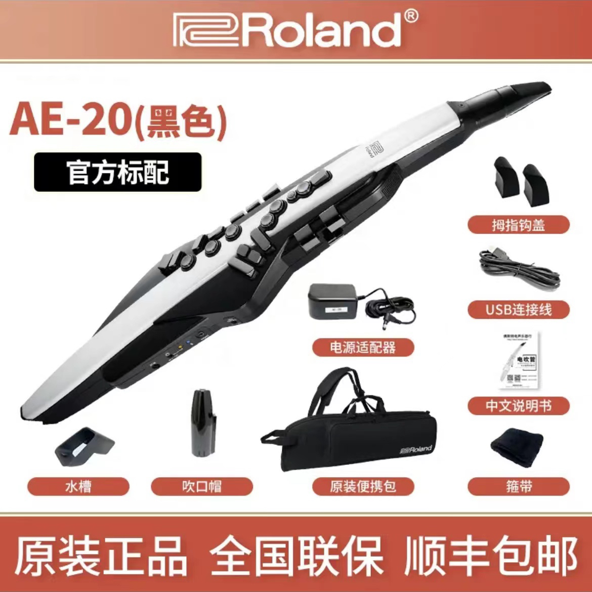 无品牌罗兰电吹管 AE-20 