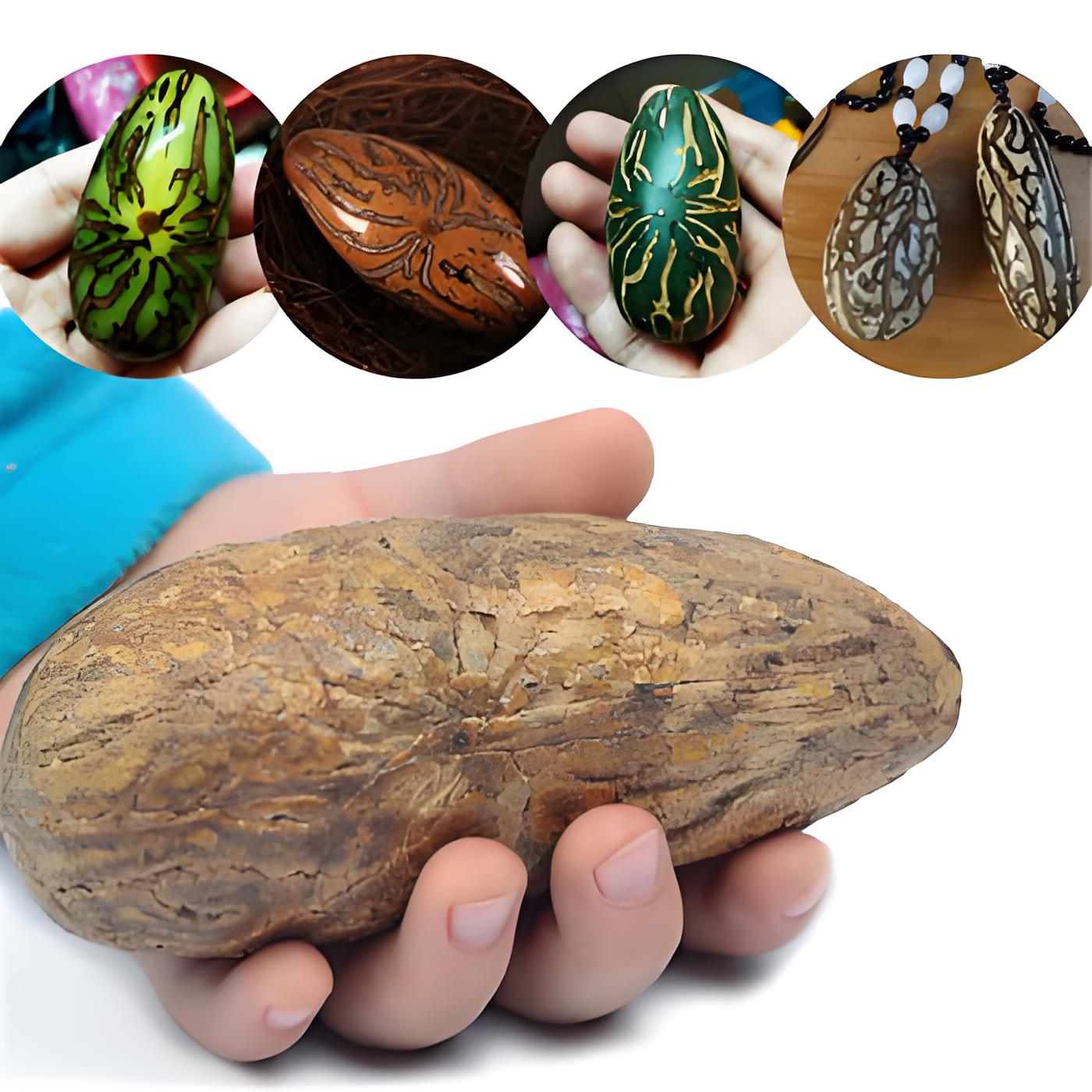 【精选】现场打磨千眼菩提大果老树果盘玩手把件