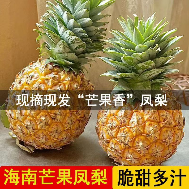 【芒果凤梨大果顺丰礼盒】自然成熟芒果凤梨台农23号新鲜应季现摘