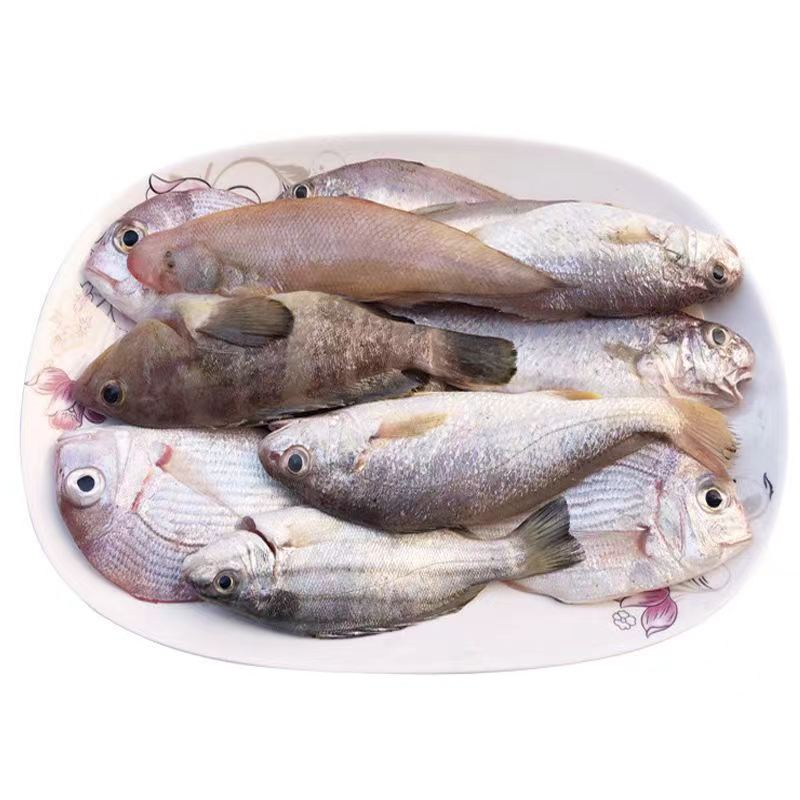 【白姐海鲜】海杂鱼3斤