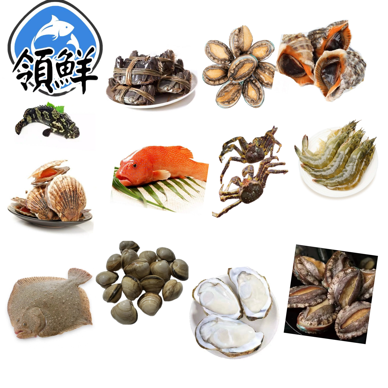 鲜活波龙海鲜大礼包 988型