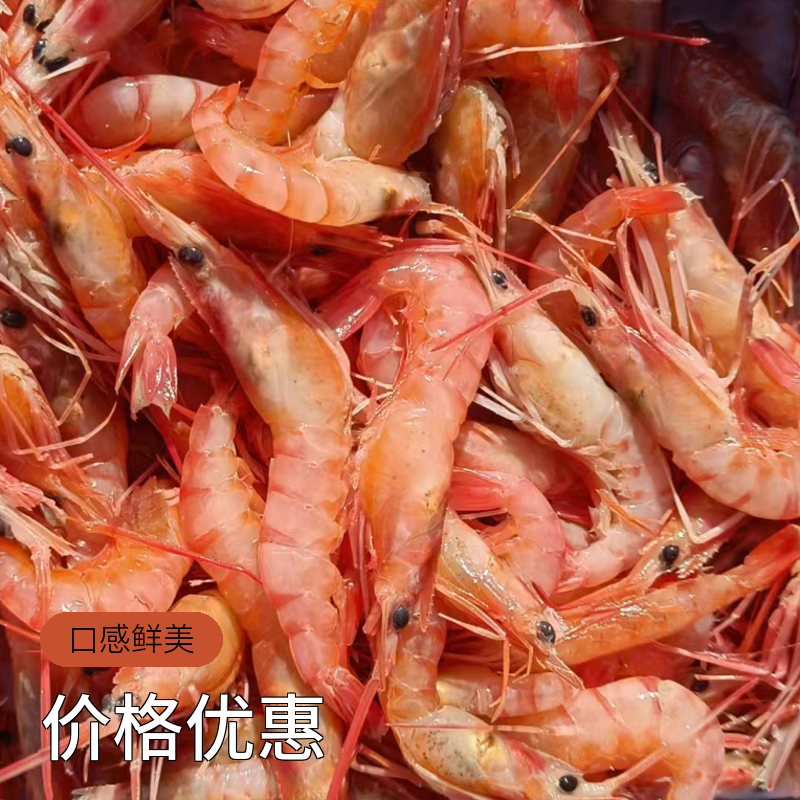 惠来神泉 浅海竹排小红虾 拍一发5