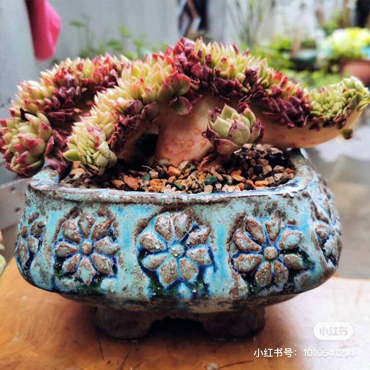 尚雅陶坊韩式青铜常青藤复古陶瓷手工粗陶多肉花盆绿植简约长方口
