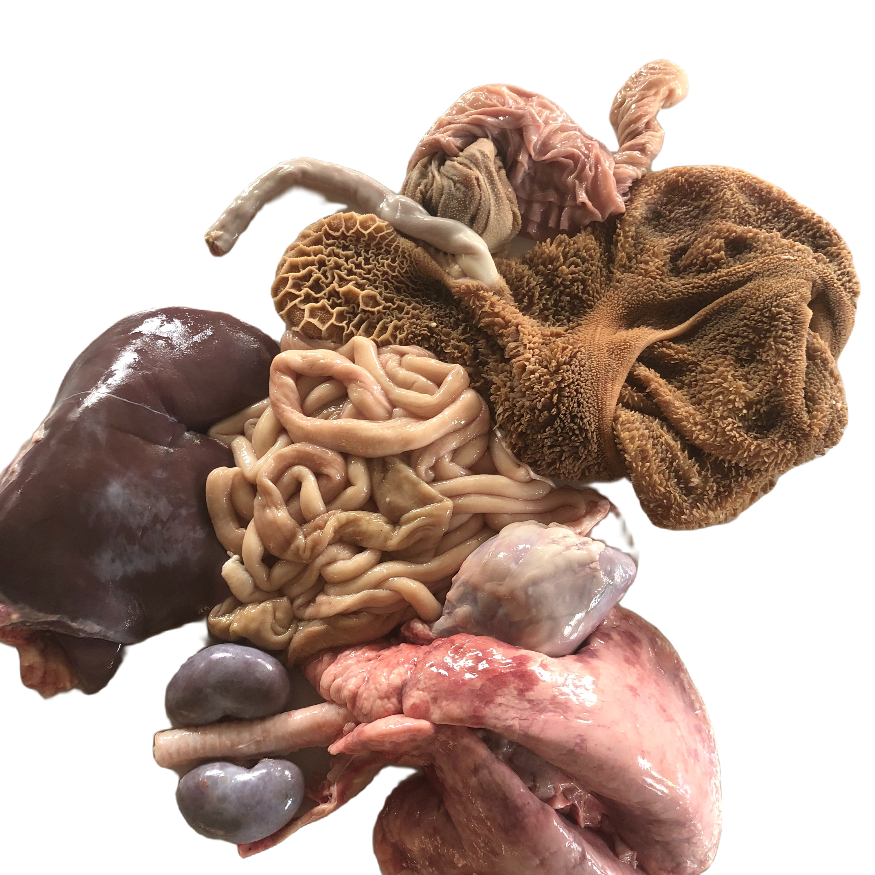 黑山羊羊杂一套（直播间改价）顺丰冷链发货