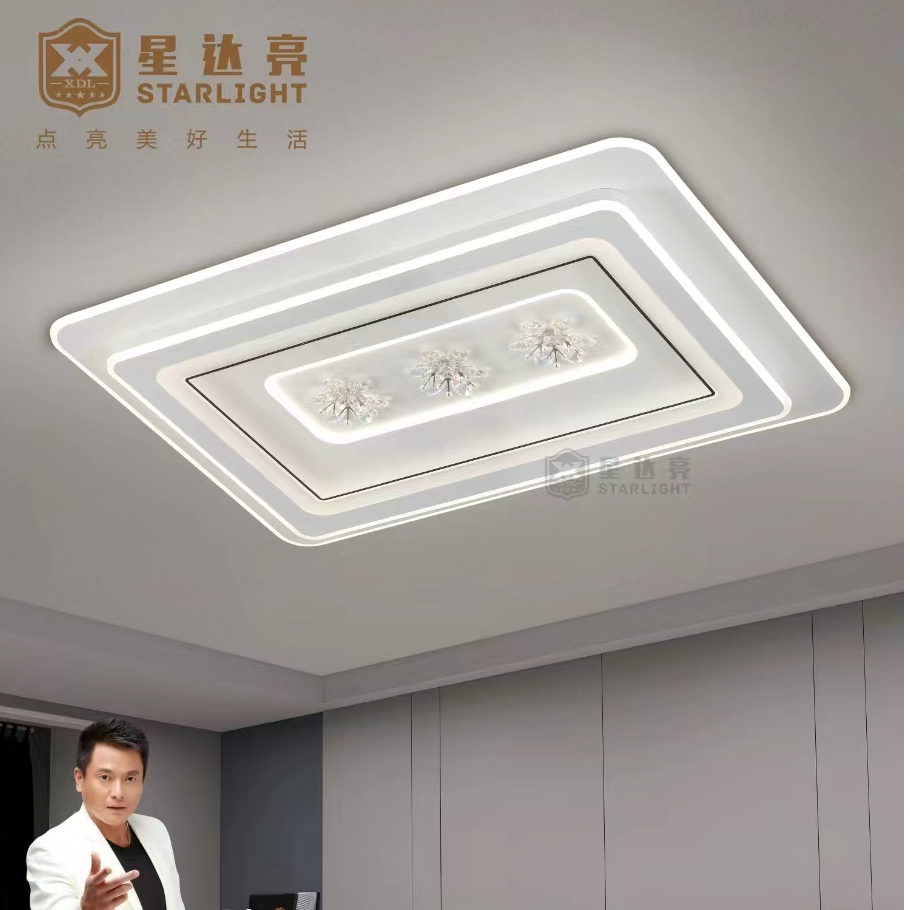 品牌【星达亮】中山高端智能语音现代简约家用led吸顶灯智能语音灯