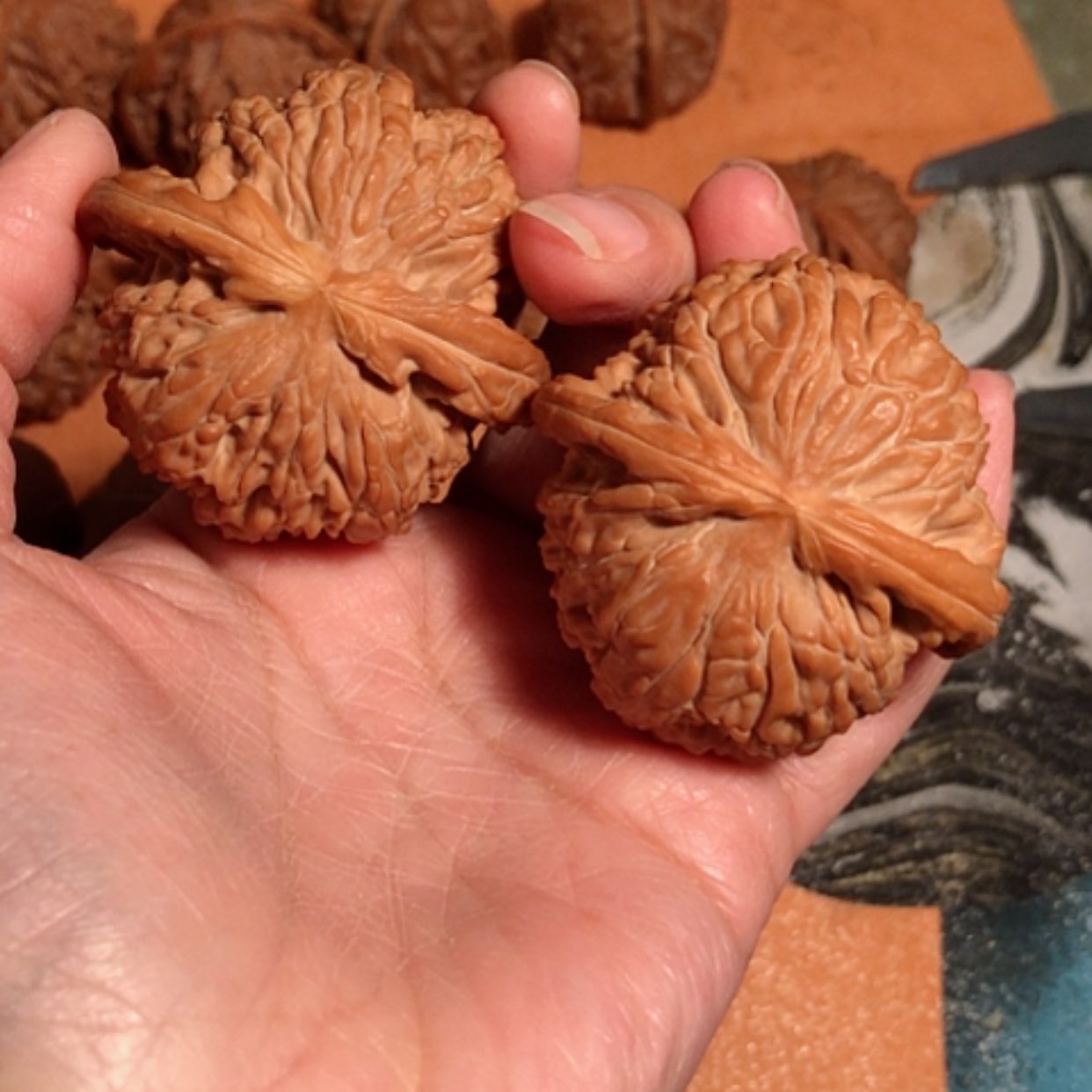 【闪购商品】文玩核桃吊坠了*，白狮子