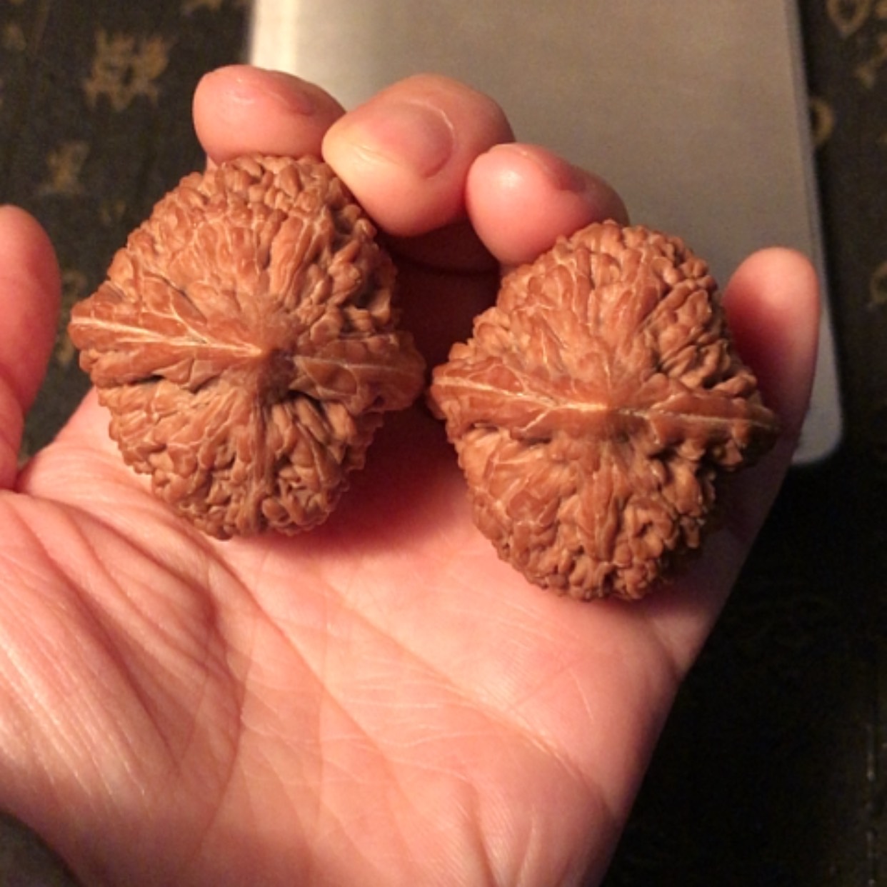 【闪购商品】文玩核桃把件隔***人大蒜头