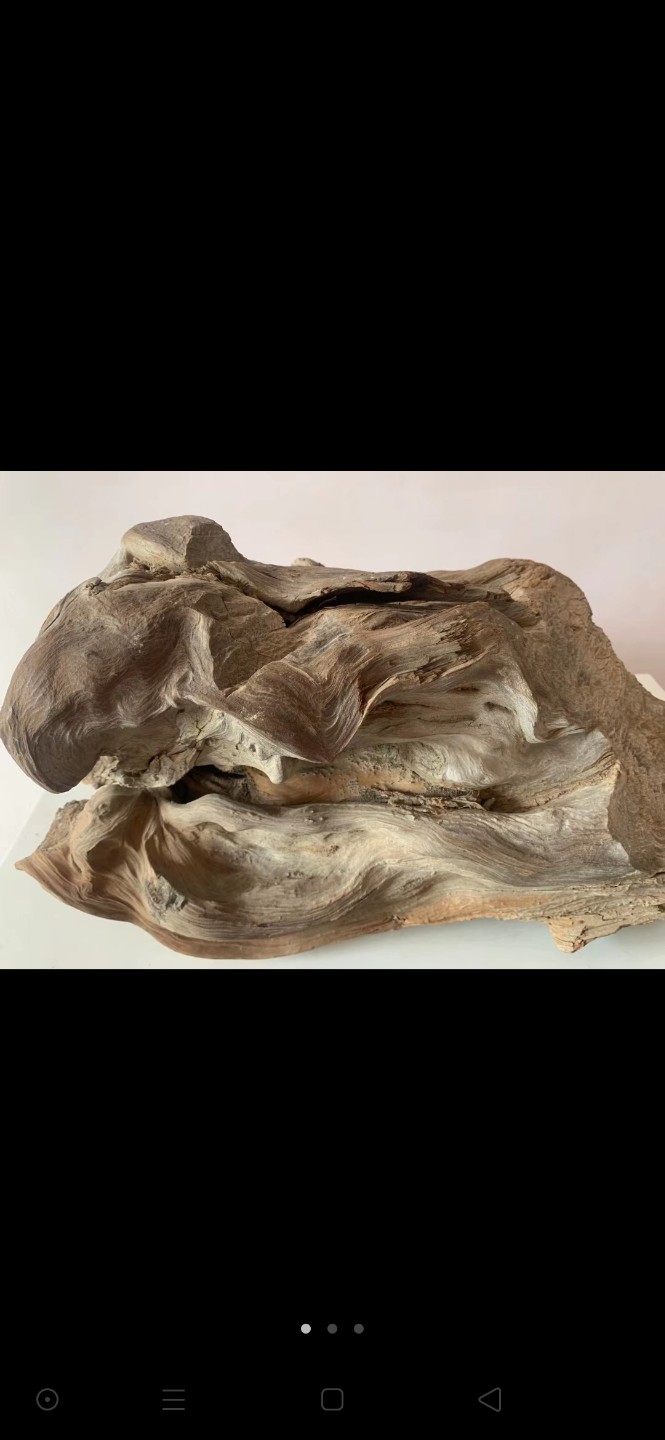精品太行红骨，高50，宽82