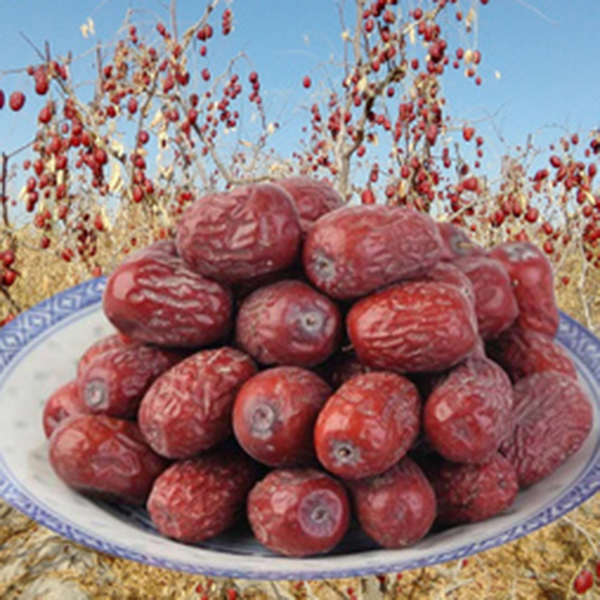 【大中果灰枣】新疆若羌灰枣树上自然吊干灰枣新疆产地直发