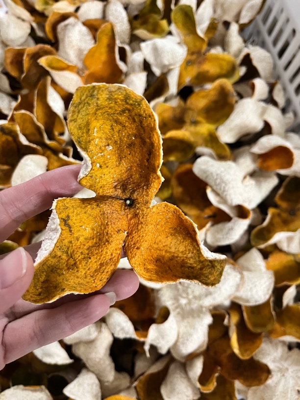 2024年新会天马大红圈枝皮