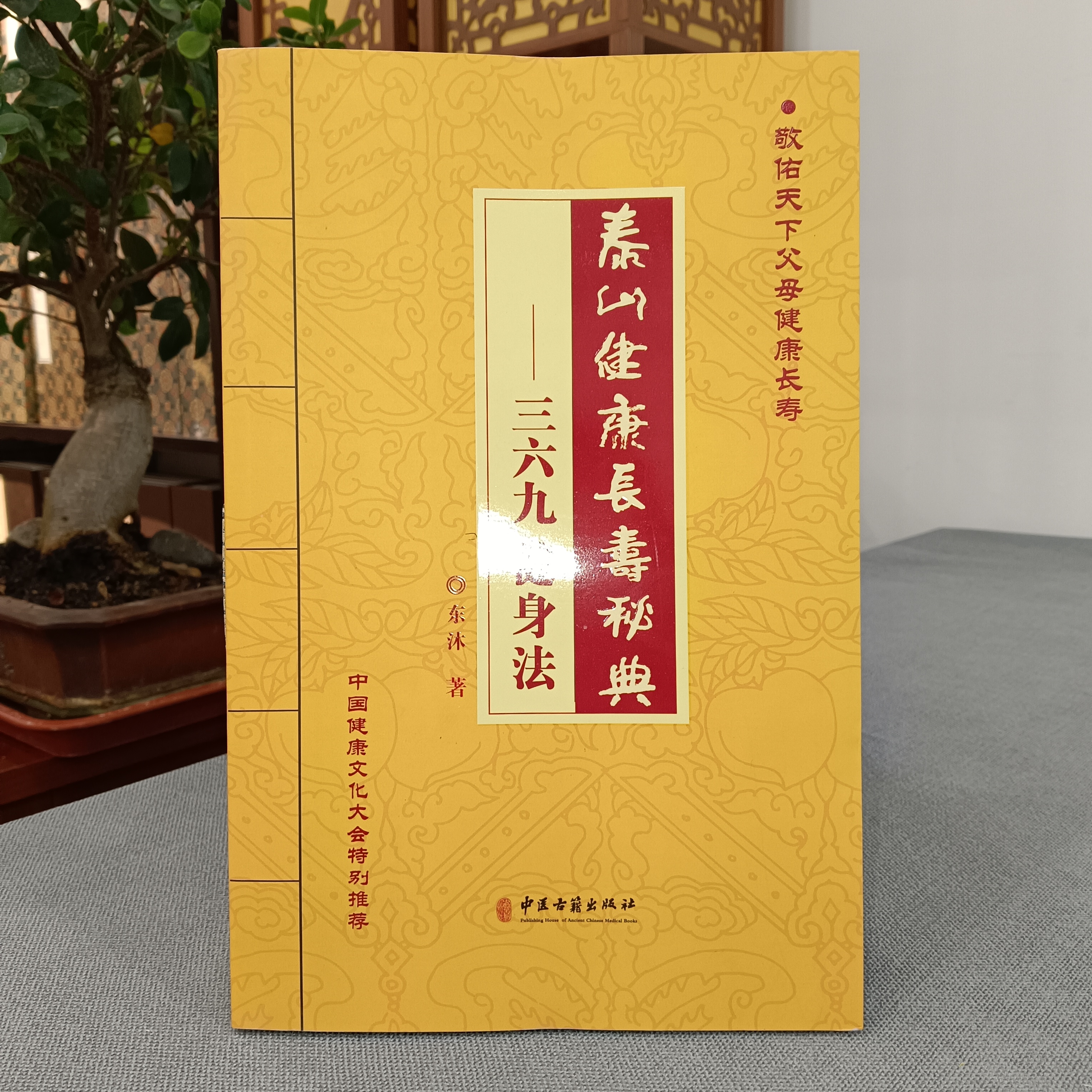 泰山健康长寿秘典 ——三六九健身法  中医古籍出版社 