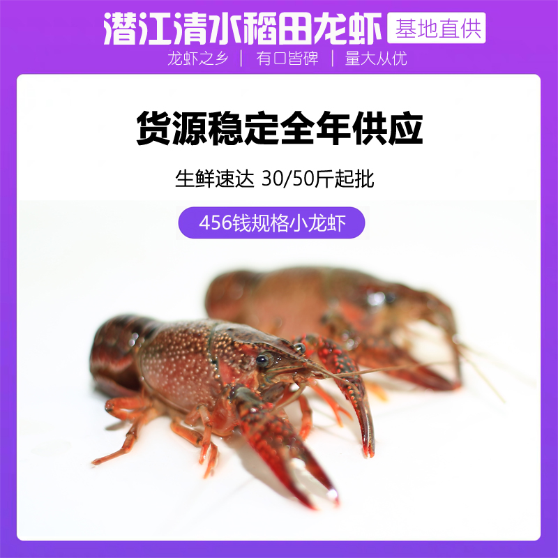 湖北潜江小龙虾鲜活清水活虾30/50斤456钱硬规格活体青虾红虾包邮