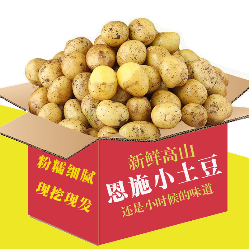 新鲜恩施小土豆现挖迷你土豆蔬菜3/5/9斤农家自种黄心马铃薯洋芋
