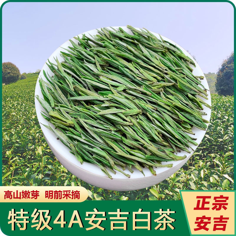 安吉白茶2024新茶特级4A春茶明前绿茶正宗白茶散装茶叶250g罐装