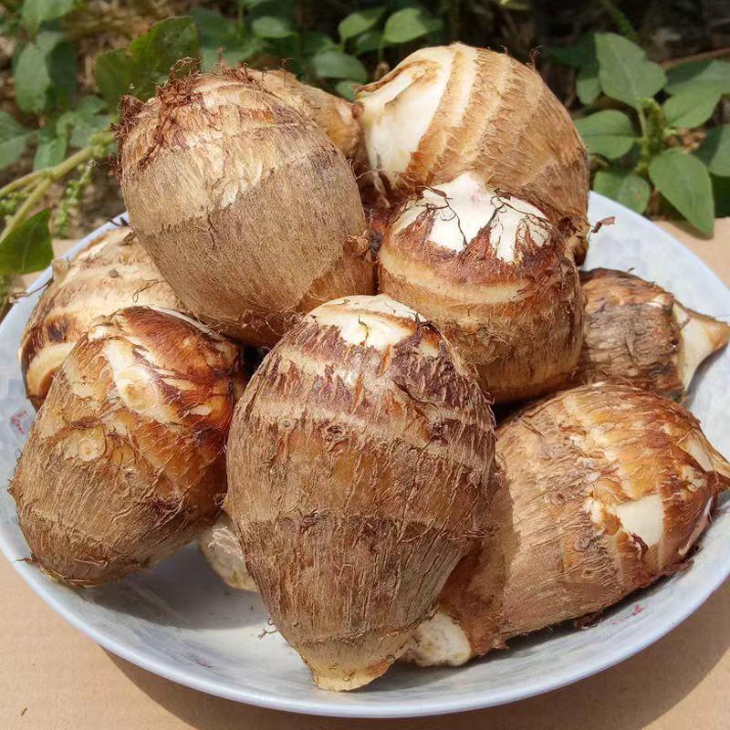 芋头山东牛奶小芋头新鲜现挖小芋头毛芋头香芋软粉糯口感5斤/20g