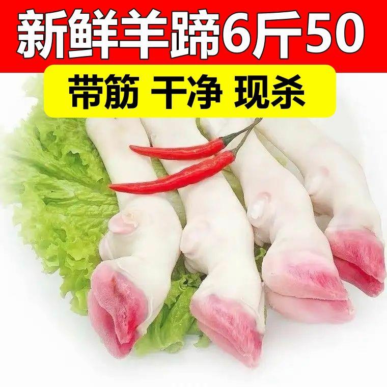 新鲜带筋羊蹄无注水山羊蹄绵羊蹄羔羊蹄羊腿白羊蹄整箱花羊蹄送料