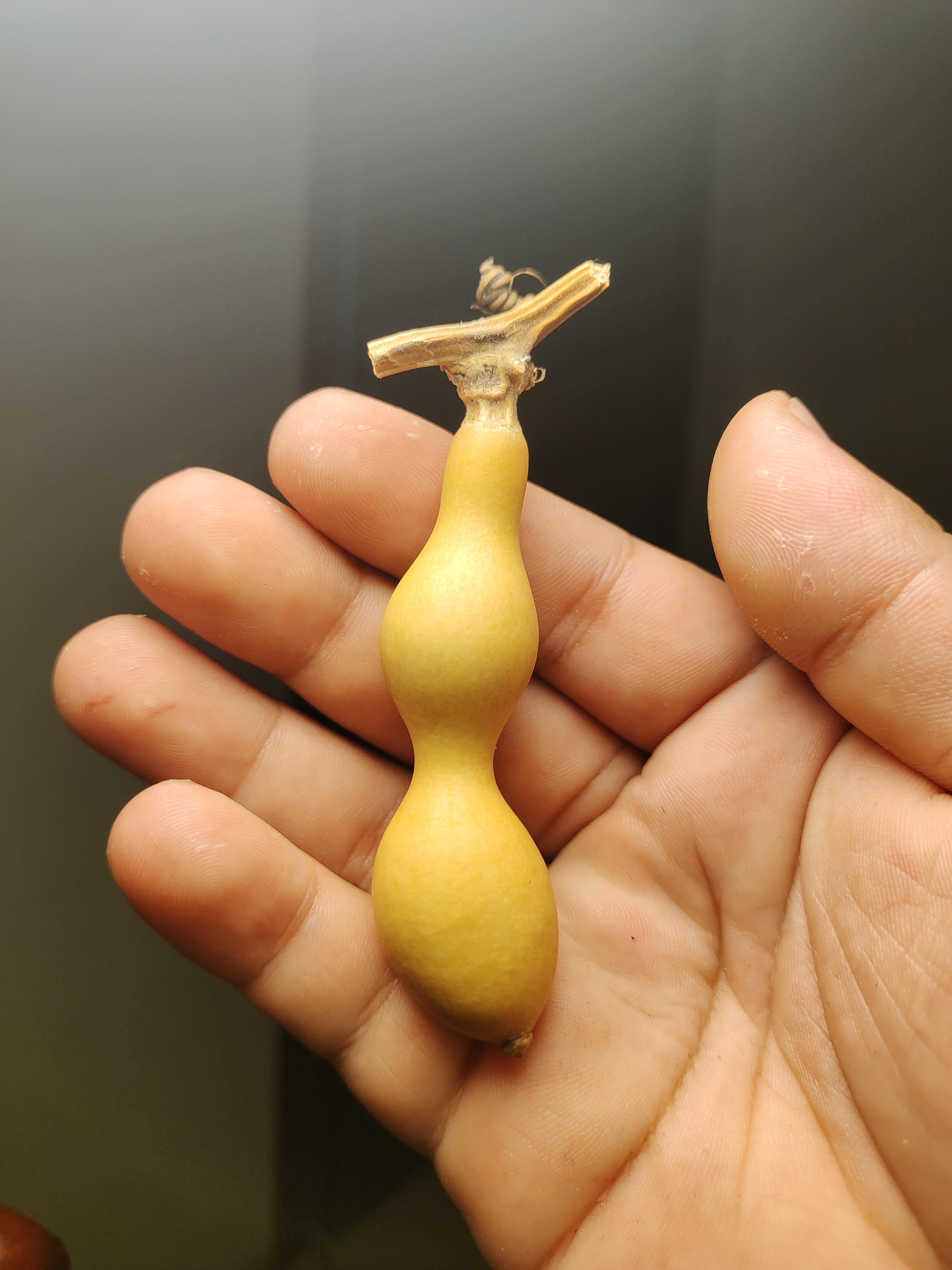 文玩手把蚂蚁葫芦