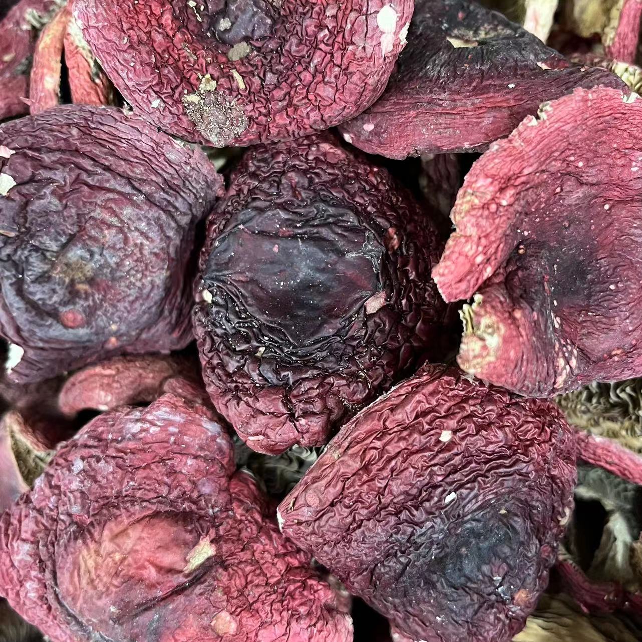 恒昌家的脆甜云南红菇盖红菇叶