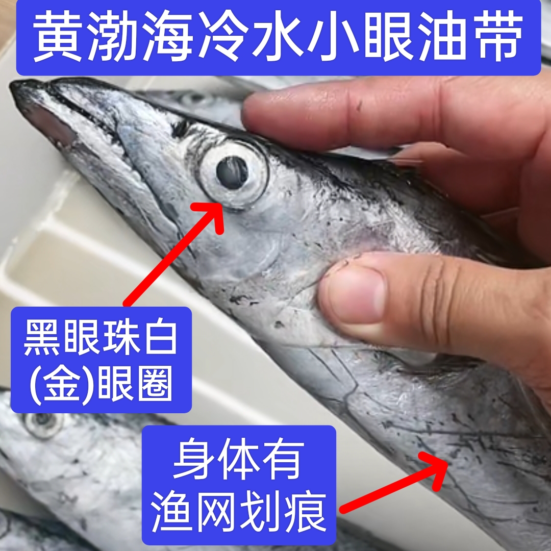 5斤装青岛海捕小型整条深海小眼油北方带鱼清蒸 红烧带鱼本地油炸