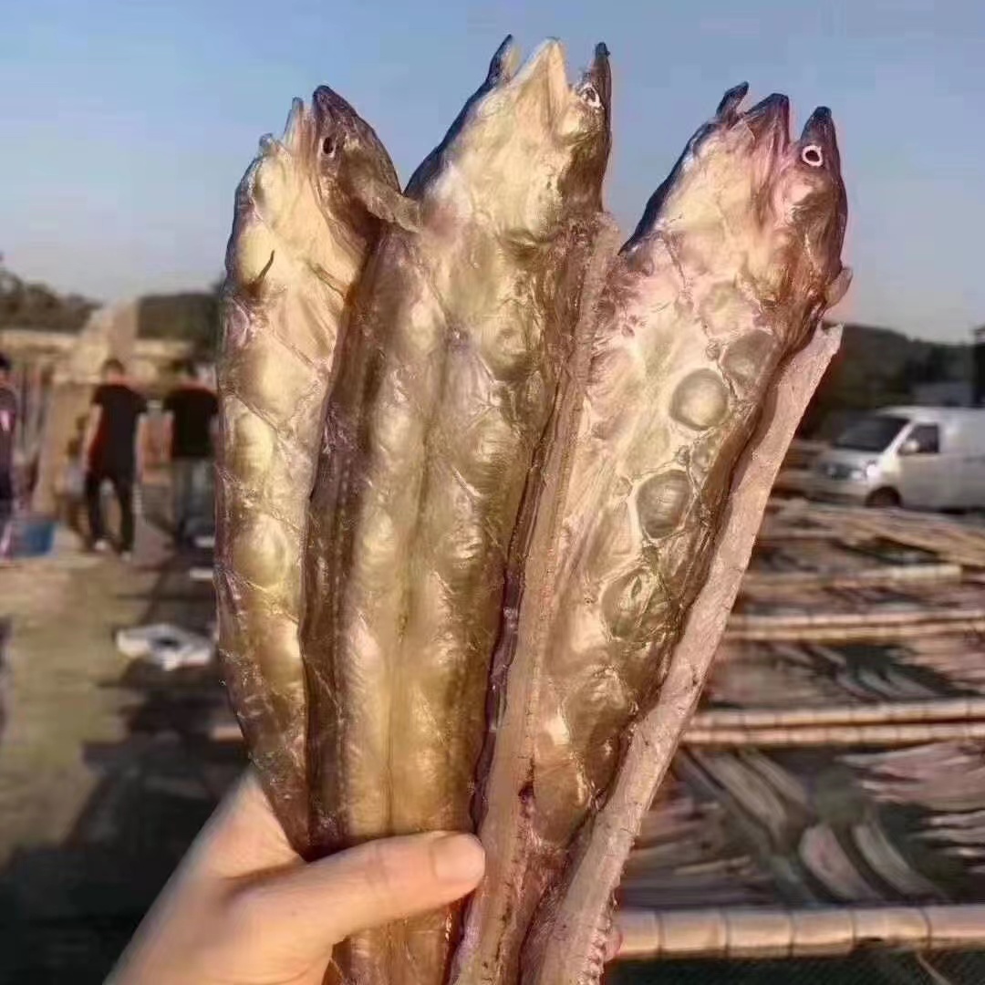 【特大号油鳗鲞】舟山本地沙鳗美味油鳗干肉质鲜嫩七星鳗淡晒xym