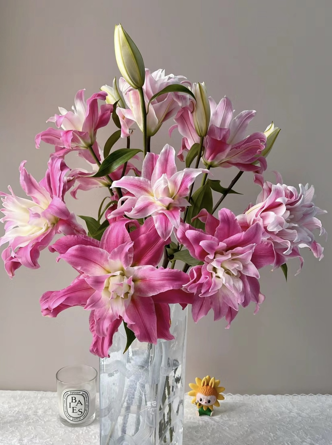 重瓣（红丝带）养护香水百合花云南基地直发拒收不售后优选美观